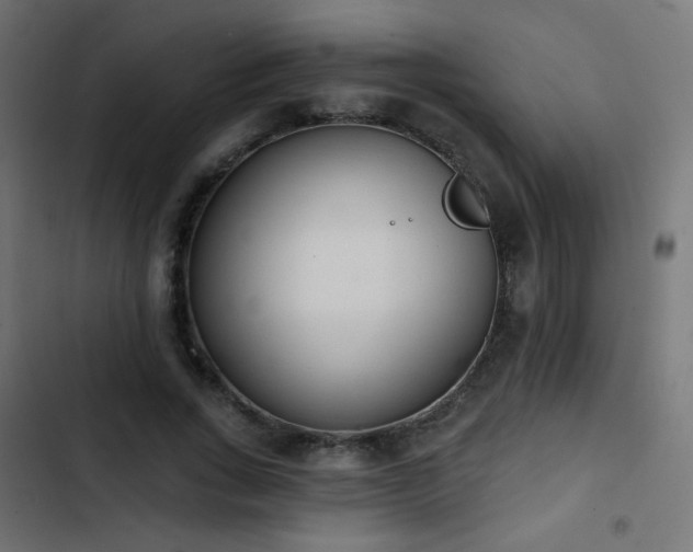 X0000103440735200809121403