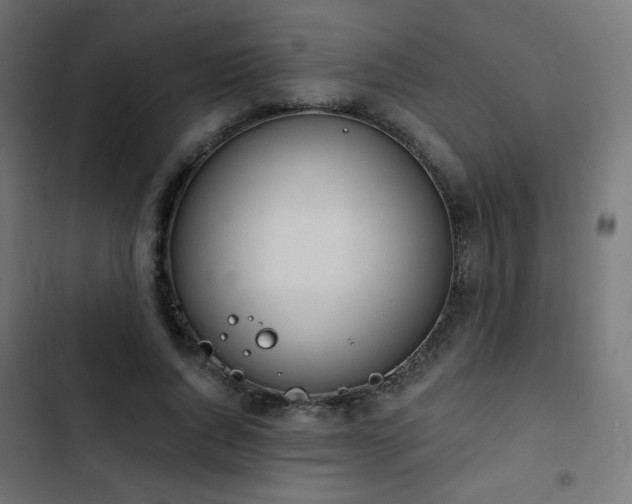X0000103440736200809121403