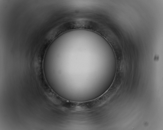 X0000103440737200809121403