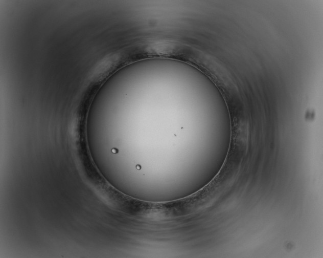 X0000103440738200809121403