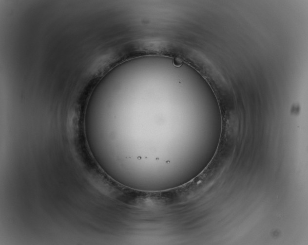 X0000103440739200809121403