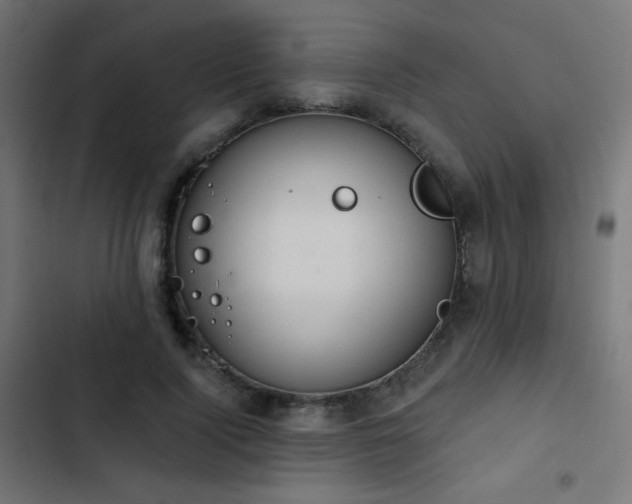 X0000103440740200809121403