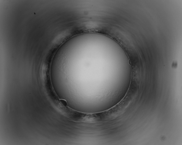 X0000103440742200809121403