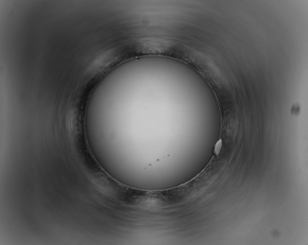X0000103440743200809121403