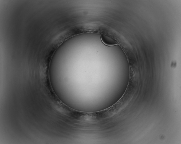 X0000103440745200809121403