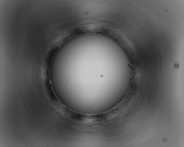 X0000103440746200809121403