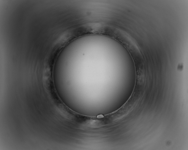 X0000103440748200809121403