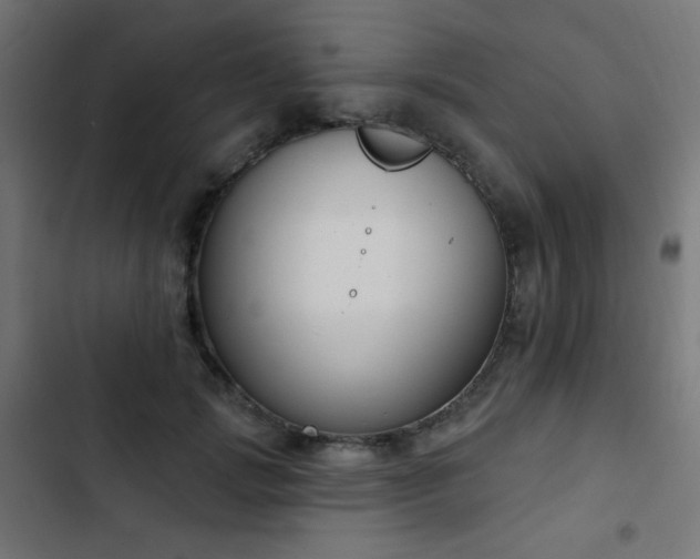 X0000103440749200809121403