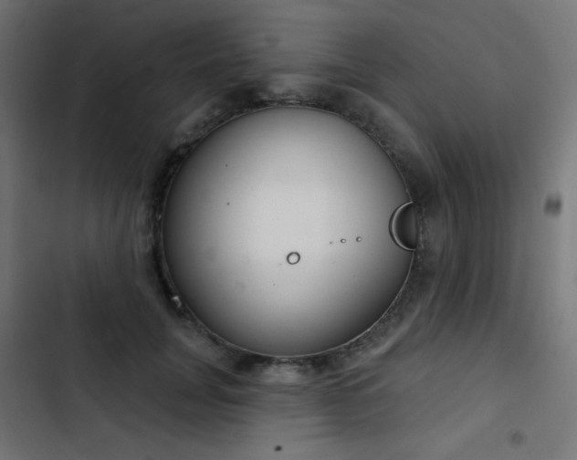 X0000103440751200809121403