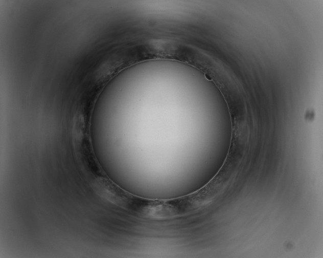 X0000103440752200809121403