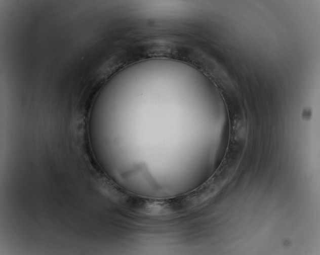 X0000103440753200809121403