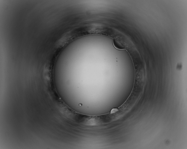 X0000103440755200809121403
