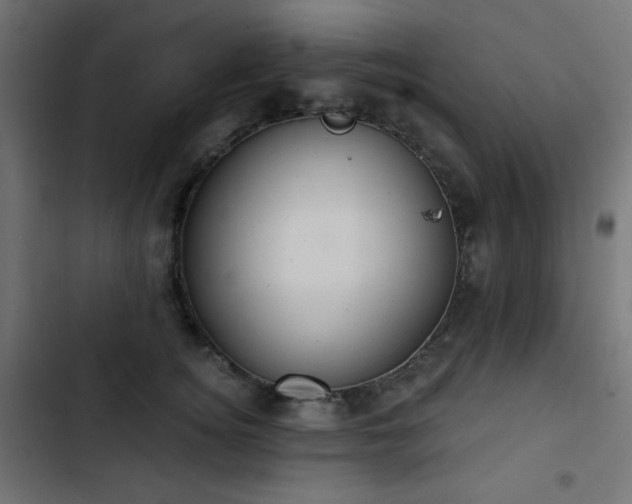 X0000103440756200809121403