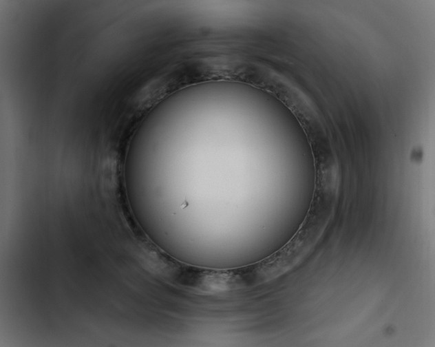 X0000103440757200809121403