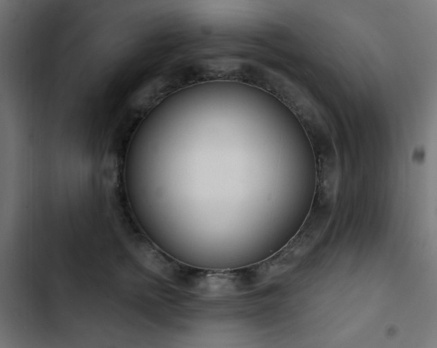 X0000103440758200809121403