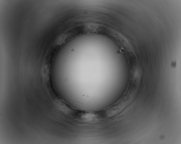 X0000103440759200809121403