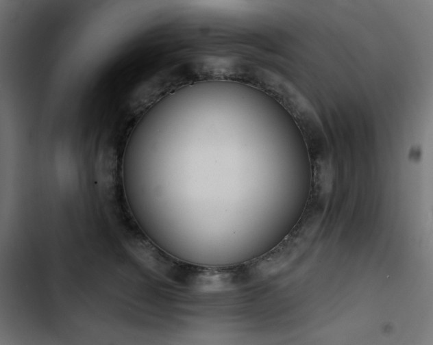 X0000103440760200809121403