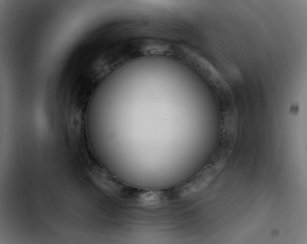 X0000103440761200809121403
