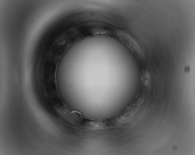 X0000103440763200809121403
