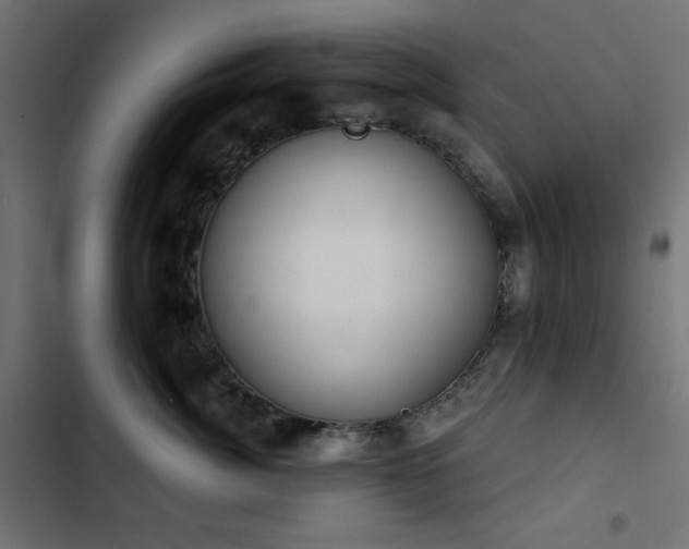 X0000103440764200809121403