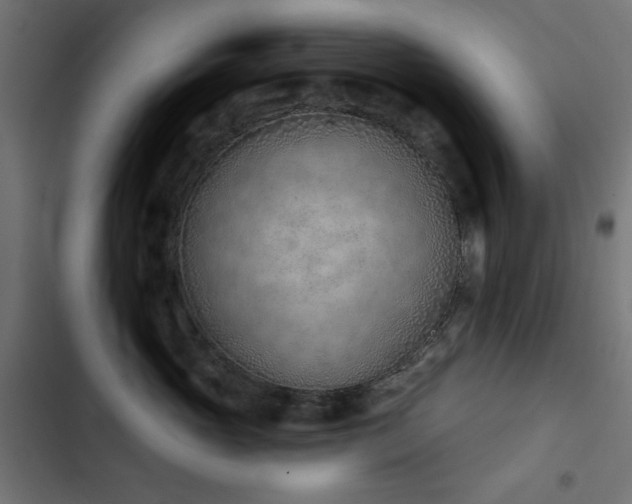 X0000103440765200809121403