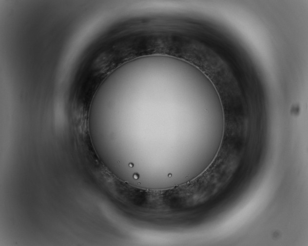 X0000103440766200809121403