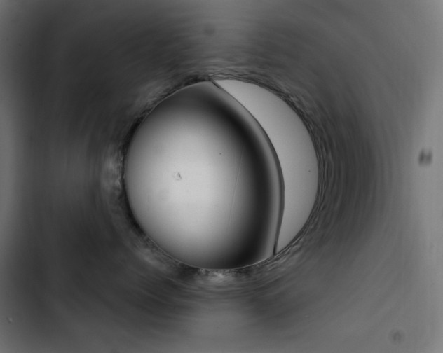 X0000103440768200809121403