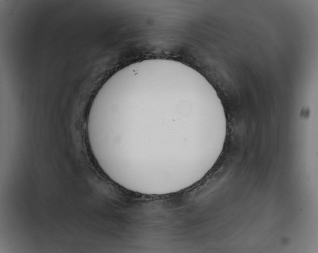 X0000103440769200809121403