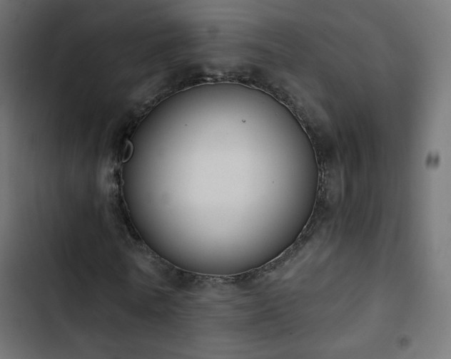 X0000103440770200809121402