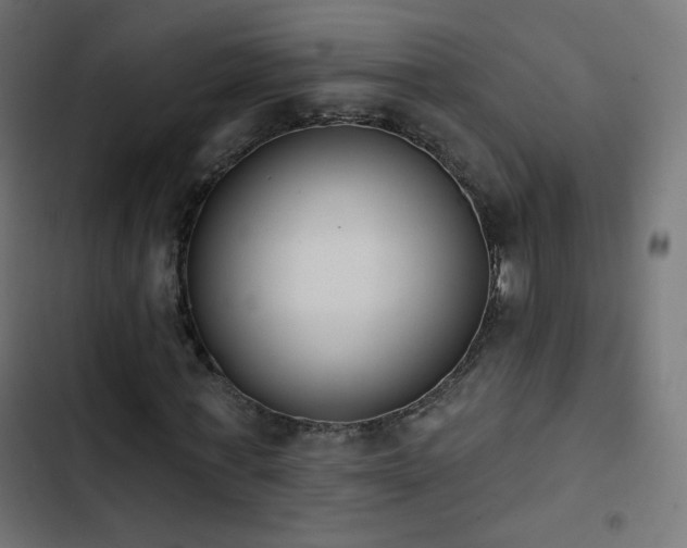 X0000103440771200809121402