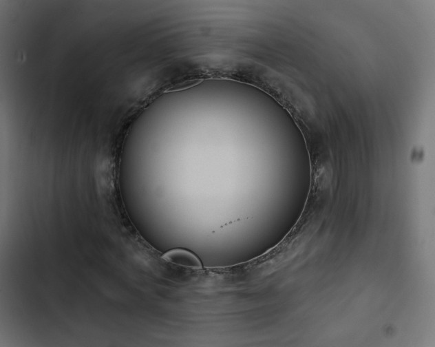 X0000103440772200809121402