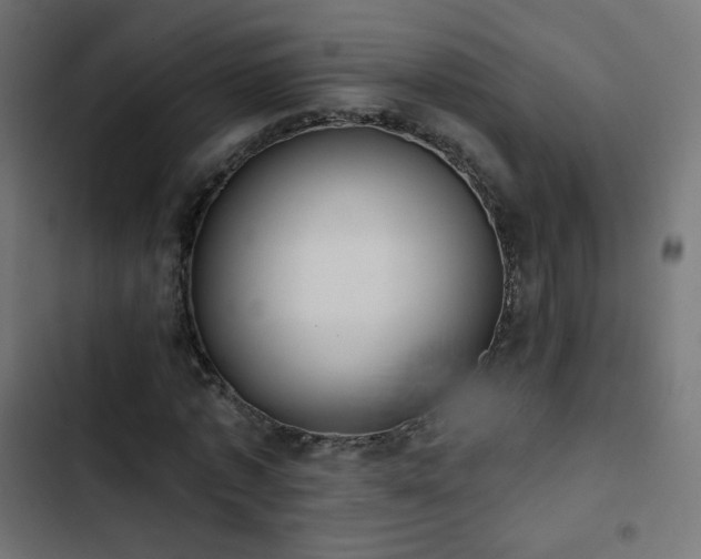 X0000103440773200809121402