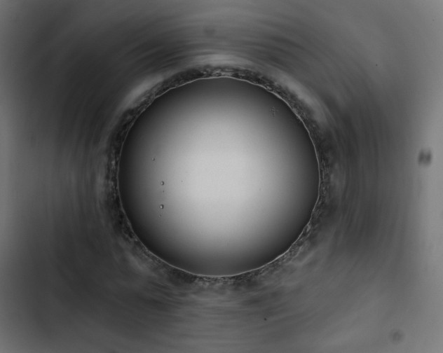 X0000103440775200809121402