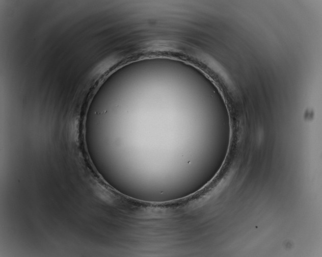 X0000103440777200809121402