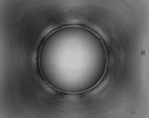 X0000103440778200809121402