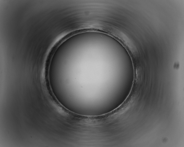 X0000103440780200809121402