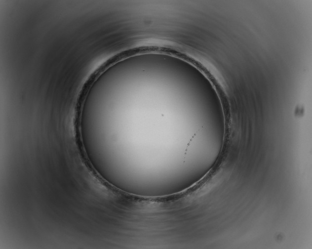 X0000103440783200809121402