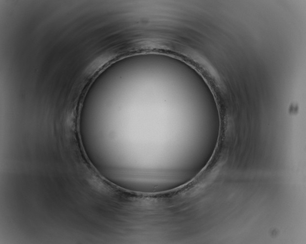 X0000103440785200809121402