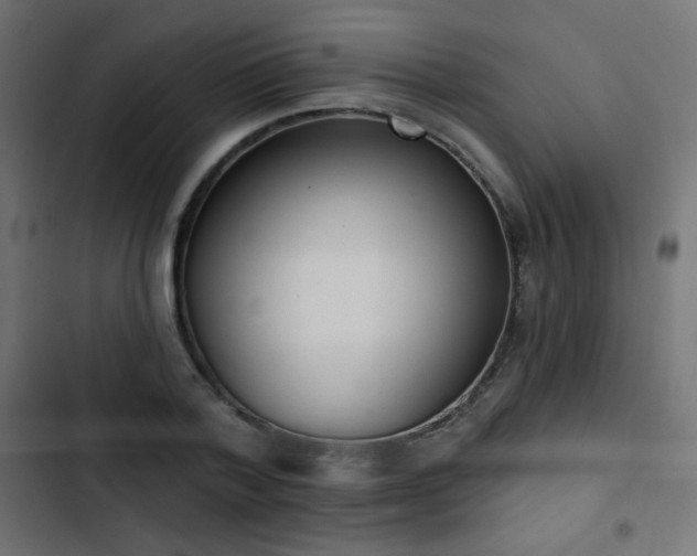 X0000103440788200809121402