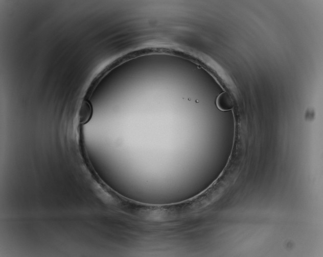 X0000103440791200809121402