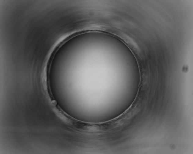 X0000103440792200809121402