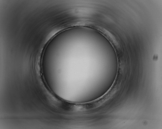 X0000103440794200809121402