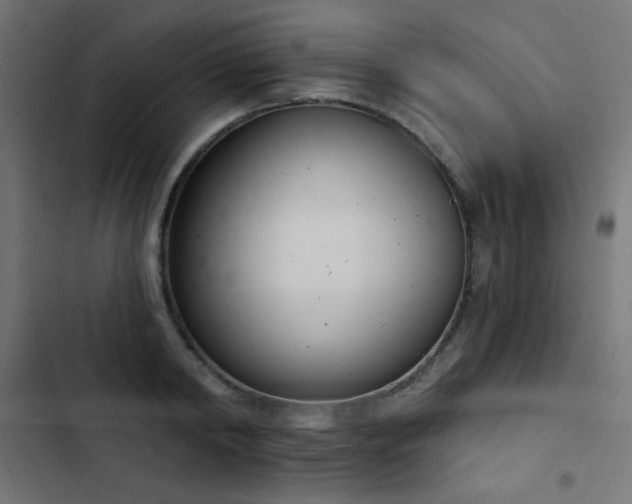 X0000103440798200809121402