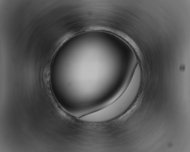 X0000103440809200809121402
