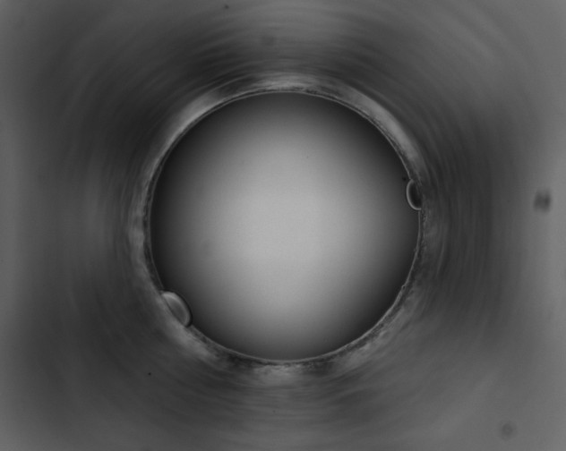 X0000103440810200809121402