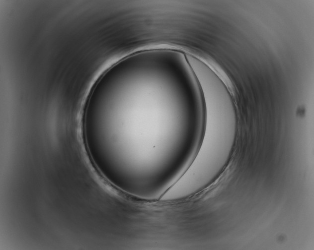 X0000103440813200809121402