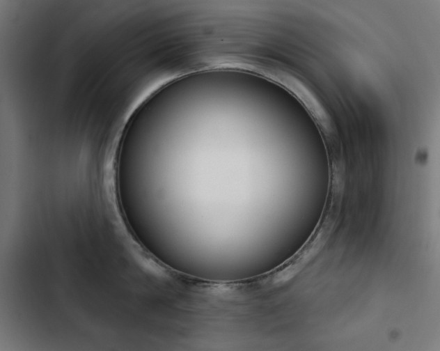 X0000103440814200809121402