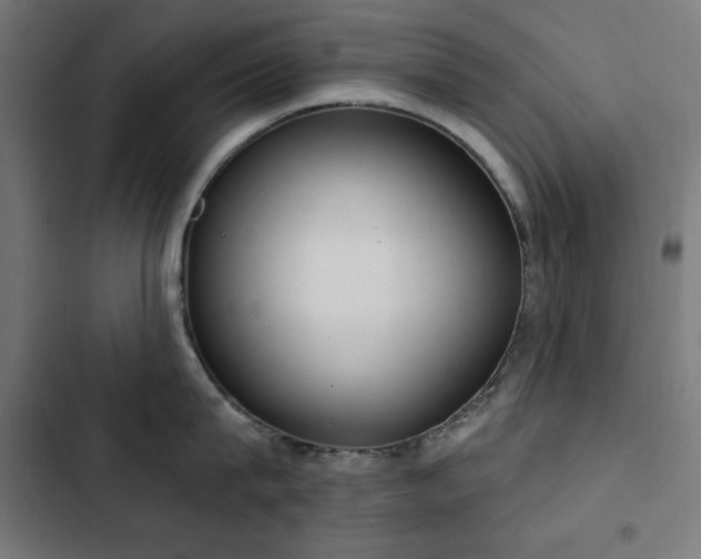 X0000103440815200809121402