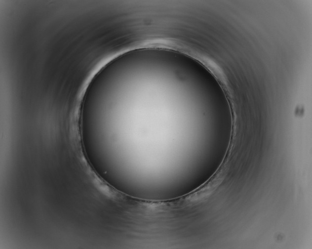 X0000103440816200809121402
