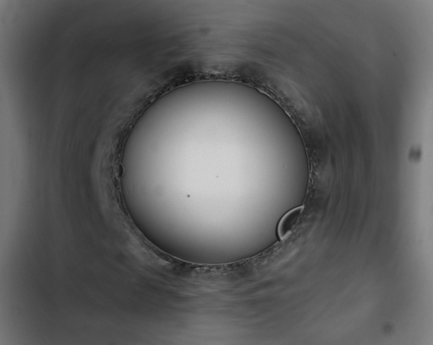 X0000103440817200809121401